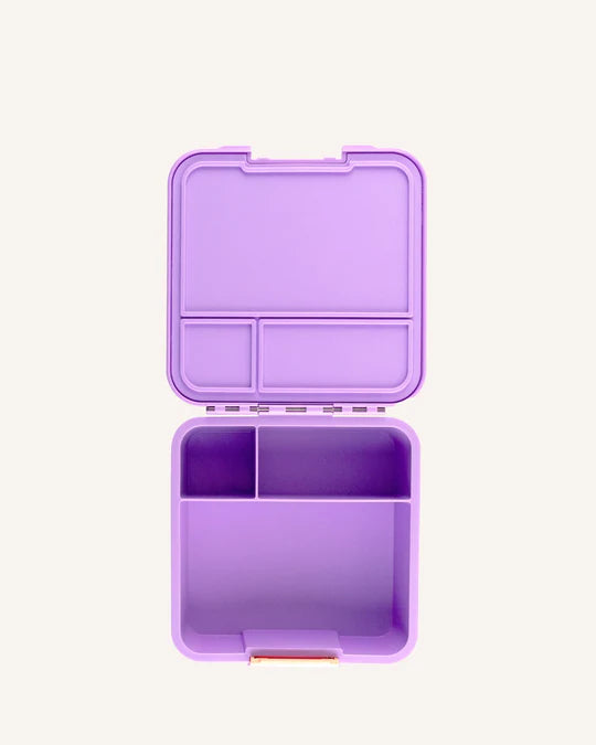 Bento Three (Medium)