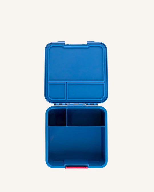 Bento Three (Medium)