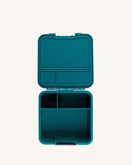 Bento Three (Medium)
