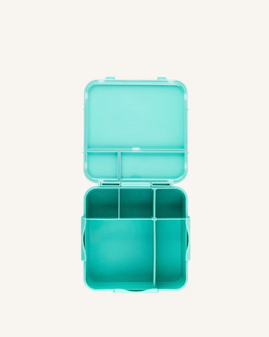 Bento Three + (Large)