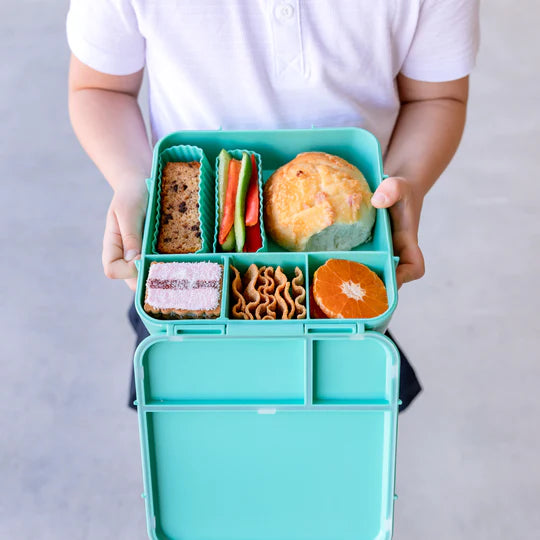 Bento Three + (Large)