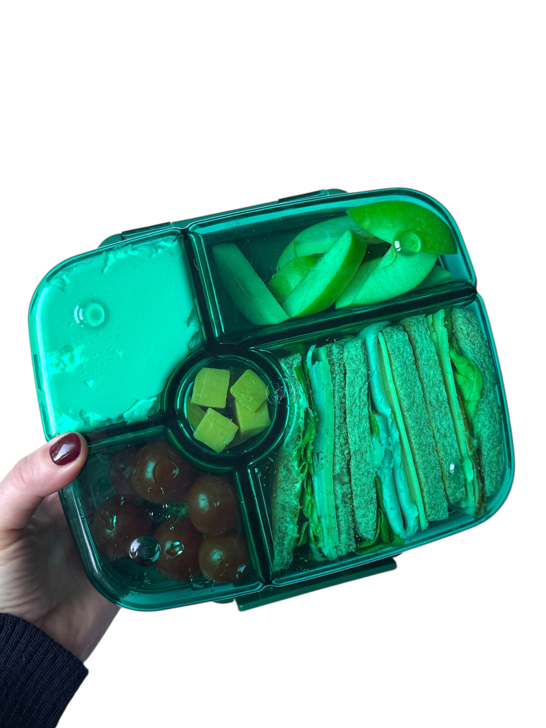 Yumbox Go
