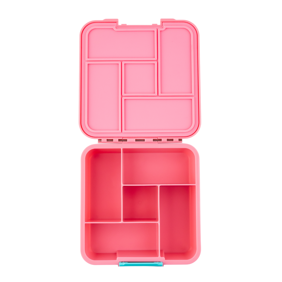 Bento Five (Medium)