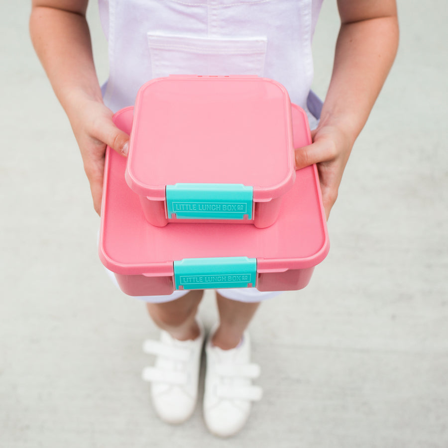 Bento Three (Medium)