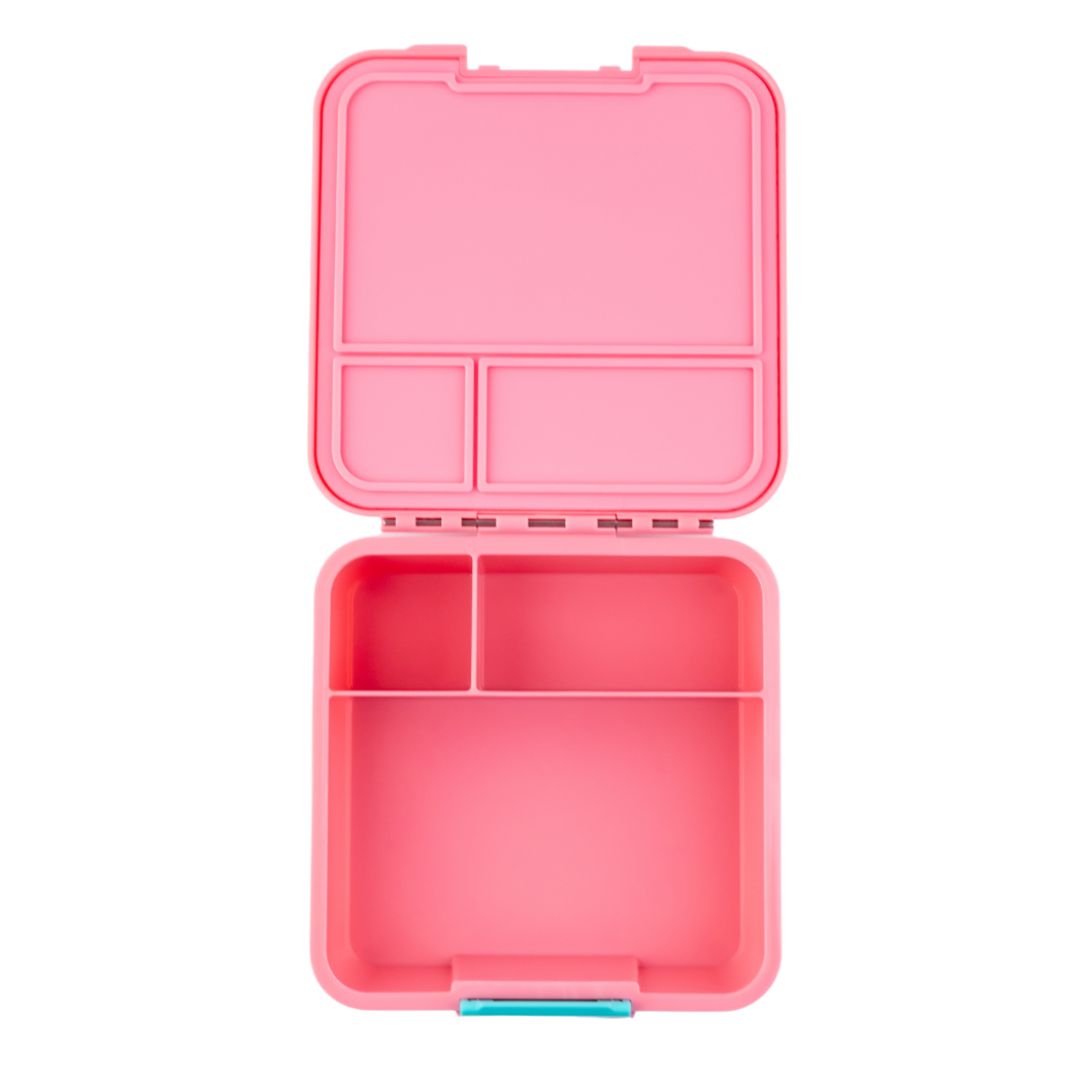 Bento Three (Medium)