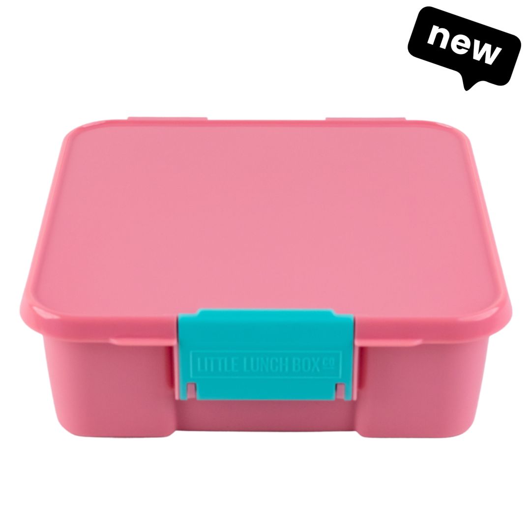 Bento Five (Medium)