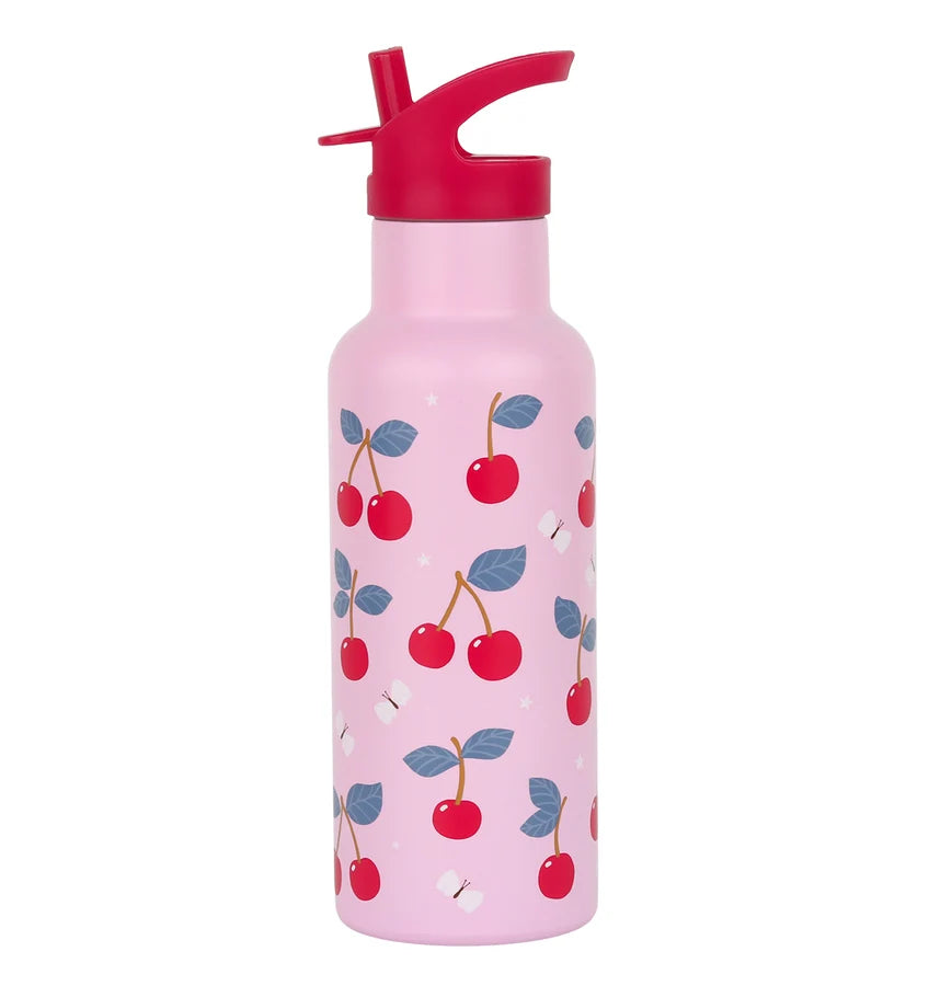 500ml Insulated Bottle
