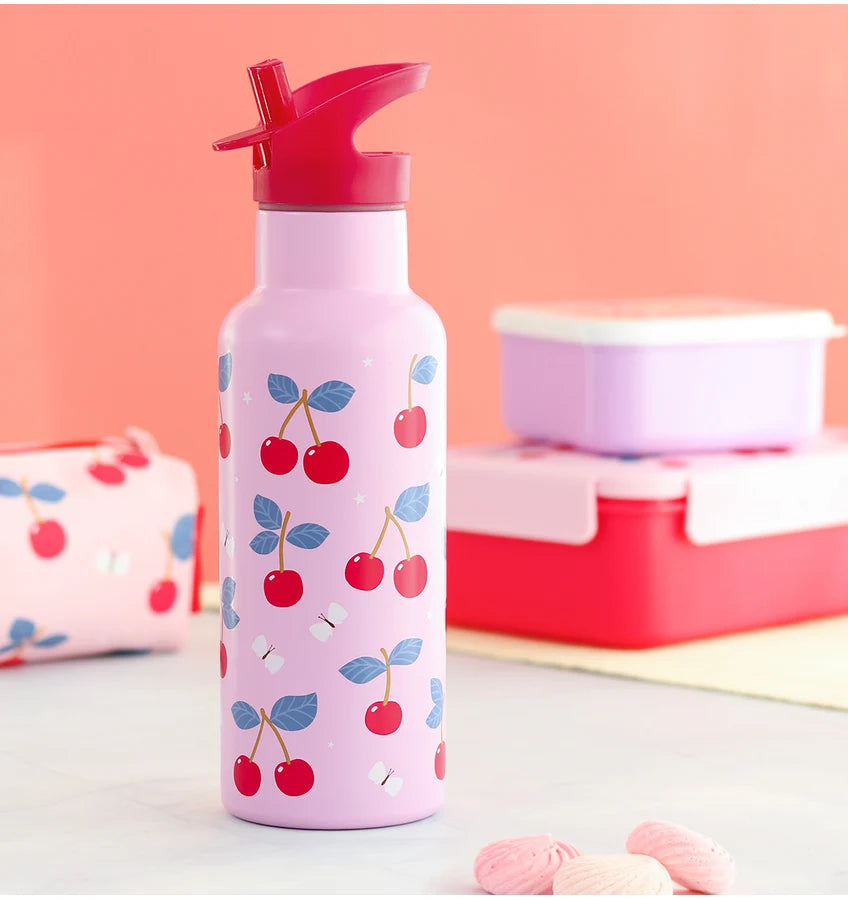 500ml Insulated Bottle