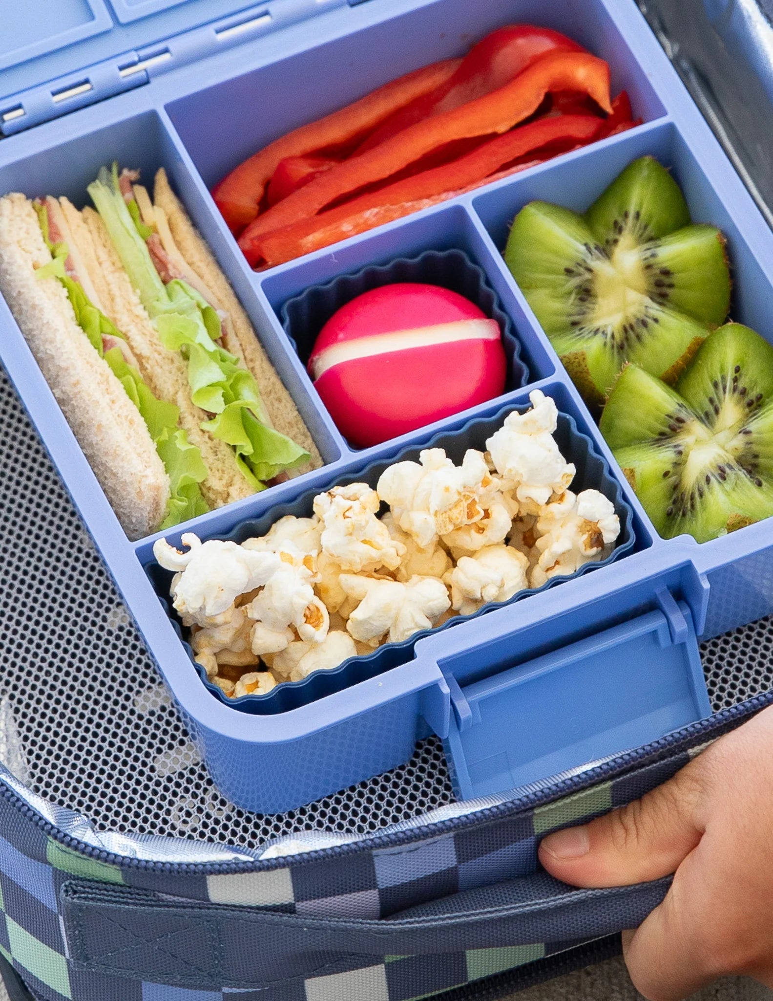 Bento Silicone Cups Mixed